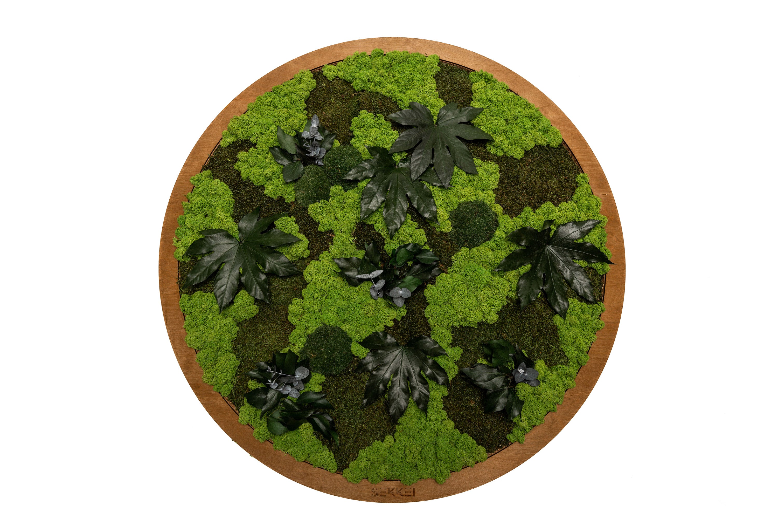 Quadro Jungle