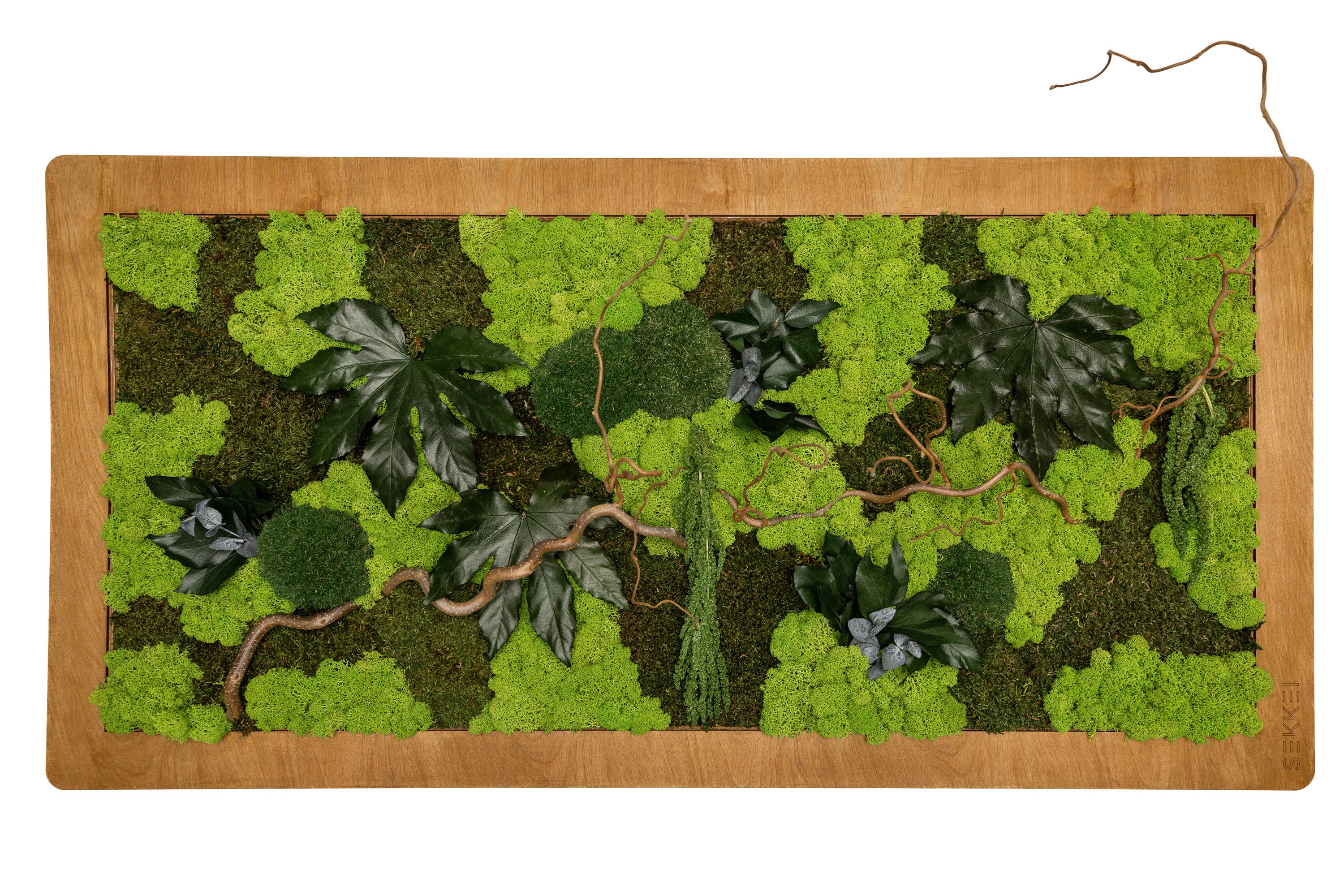 Quadro Jungle
